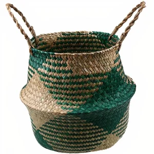 Cache Pot Osier Cactus