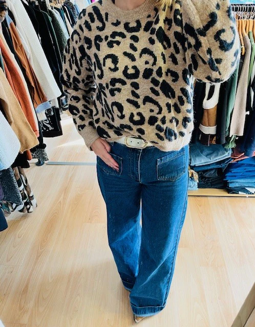 Pull imprimé léopard Sacha